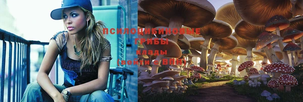 прущая мука Верхний Тагил